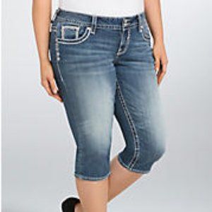 Vigoss the new york capri pants